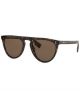 Be 0Be428130027354  Acetate Dark Havana Man Nb